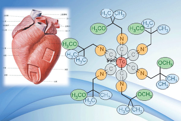 99锝m-甲氧異腈（99Tcm-MIBI）